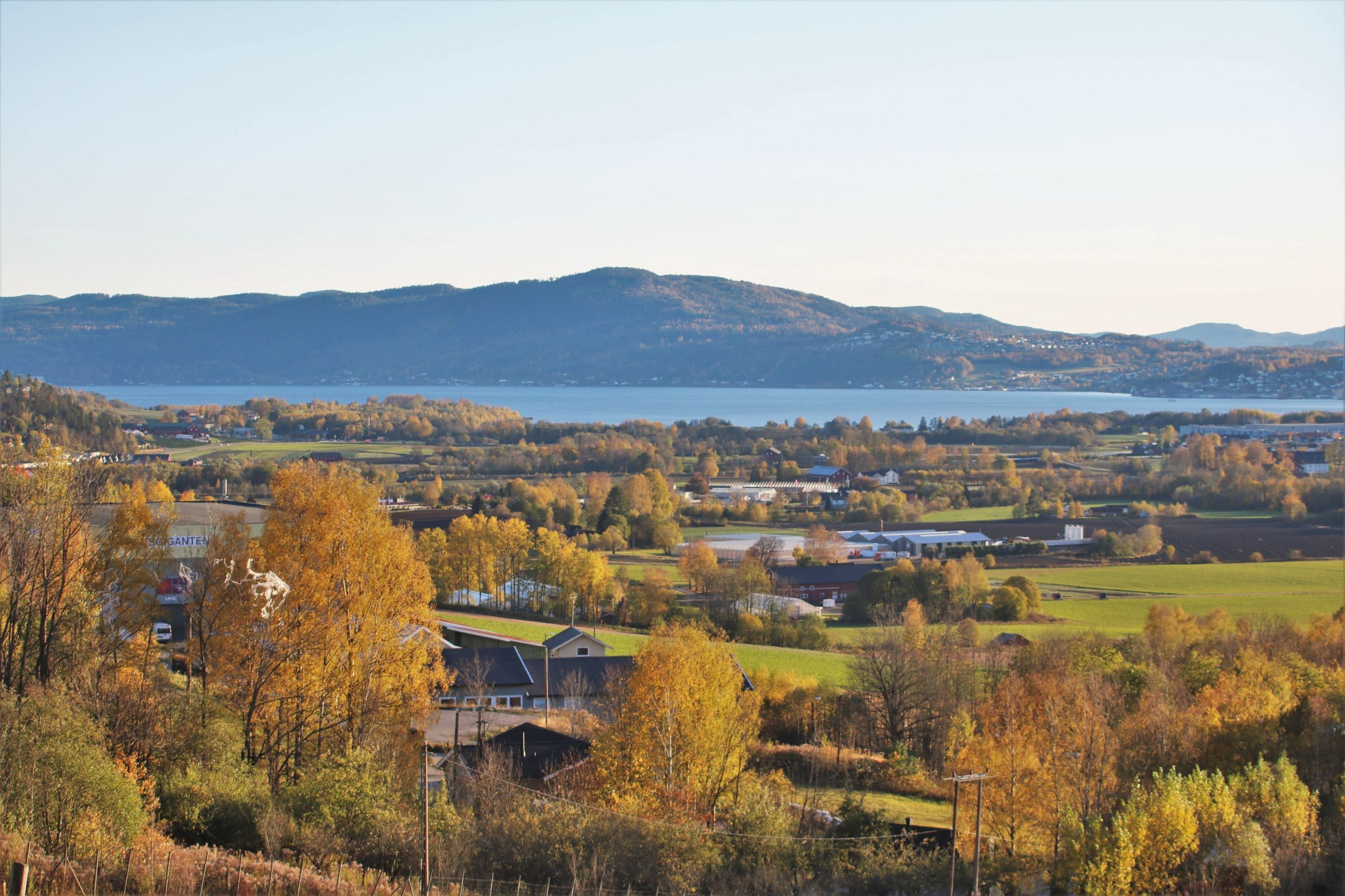 eiendomsmegler Asker