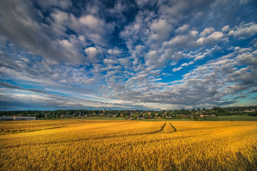 real estate agent Askim