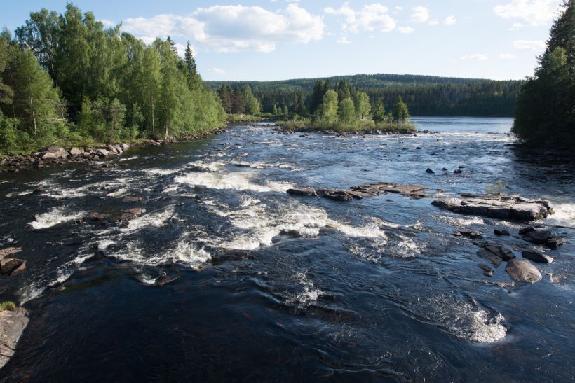 real estate agent Elverum