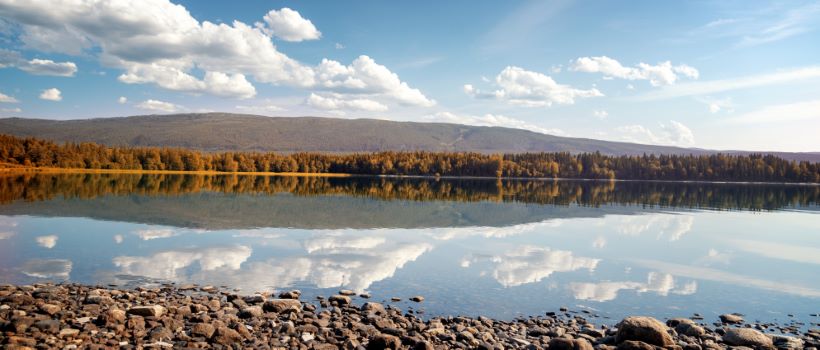 real estate agent Steinkjer