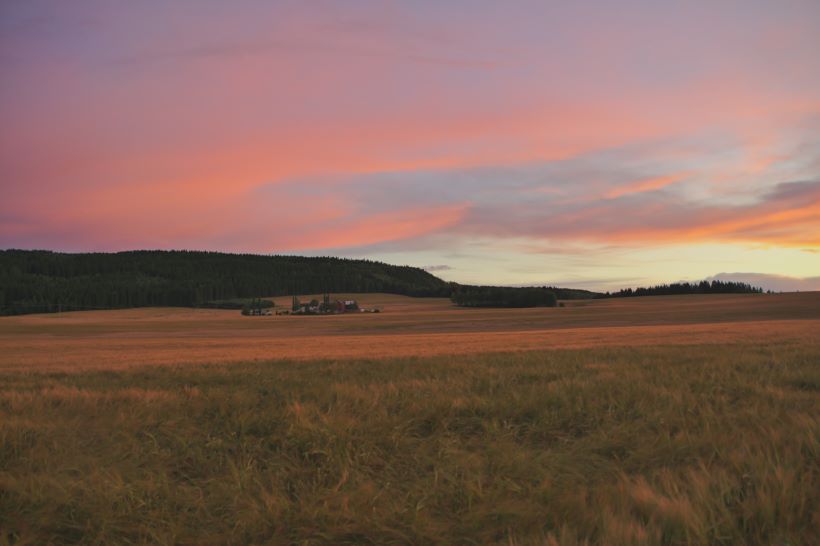 real estate agent Stjørdal